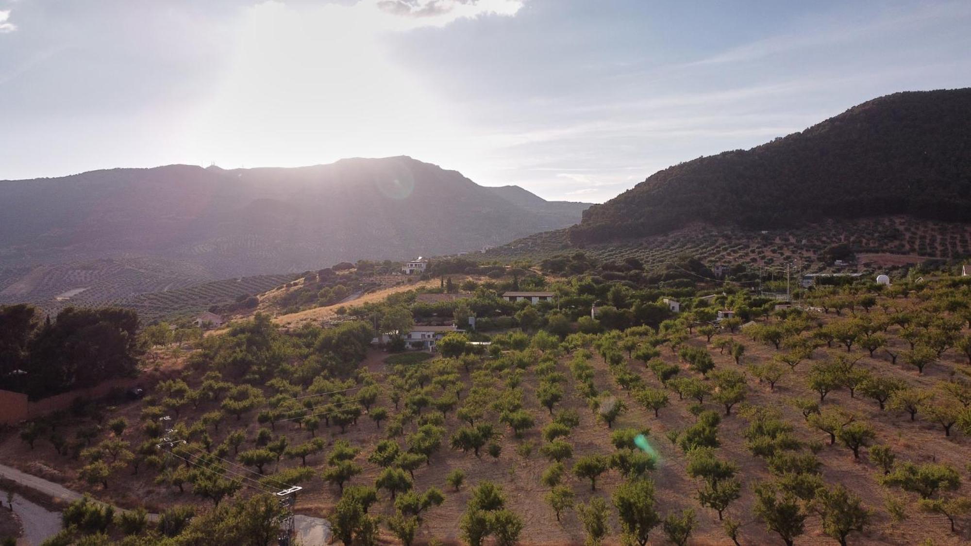 Villa Canela Illora المظهر الخارجي الصورة